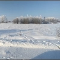 Река Гжать :: Ольга Довженко Река Гжать :: Ольга Довженко