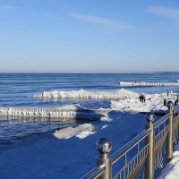 Зеленоградск, 31 января 2026 года :: Рита Симонова