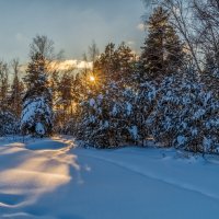 Январский вечер :: Андрей Дворников
