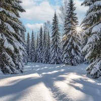 Зимнее настроение :: Ravile 