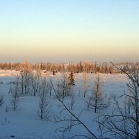 Горнокнязевск. Ямал :: Tata Wolf Горнокнязевск. Ямал :: Tata Wolf