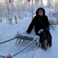 Горнокнязевск. Ямал :: Tata Wolf