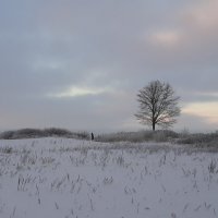 Зимой на заливе :: Наталья Герасимова