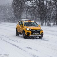 Снегопад в Ростове-на-Дону. :: Руслан 