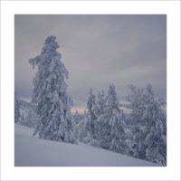 * :: Александр Иванов