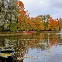 Золотая осень! :: Лия ☼