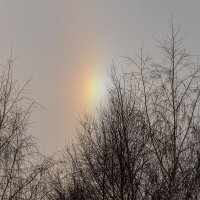 Галушка -- кусочек Гало. :: Анатолий. Chesnavik. Галушка -- кусочек Гало. :: Анатолий. Chesnavik.