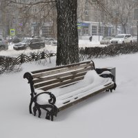 Зимняя скамейка :: Татьяна Машошина