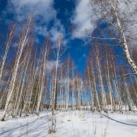 *** :: Андрей Андрианов *** :: Андрей Андрианов