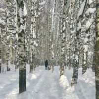 Морозный день :: Татьяна Морозный день :: Татьяна