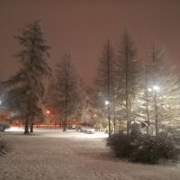 Лиственница :: Сапсан Лиственница :: Сапсан