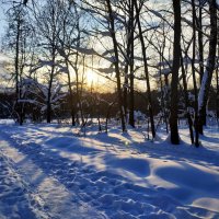 Зима продолжается :: Андрей Лукьянов Зима продолжается :: Андрей Лукьянов