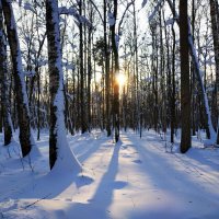 Зима продолжается :: Андрей Лукьянов
