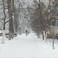 Завьюжило! :: Надежда 