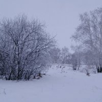 После ночного тумана. :: сергей ермошкин После ночного тумана. :: сергей ермошкин