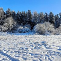 Мороз и солнце! Все, как у поэта. :: Ольга 