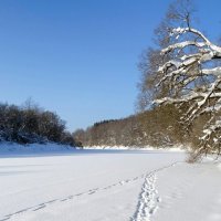 Днепр в феврале. :: Милешкин Владимир Алексеевич 