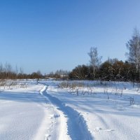 Зимний пейзаж. :: Милешкин Владимир Алексеевич 