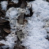 "Февраль...Достать чернил и плакать..." Б.Пастернак :: Syntaxist (Светлана) "Февраль...Достать чернил и плакать..." Б.Пастернак :: Syntaxist (Светлана)