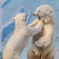 бм :: Аркадий бм :: Аркадий