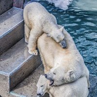 бм :: Аркадий бм :: Аркадий