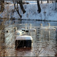 Настало времечко... :: Aleksandr Gal