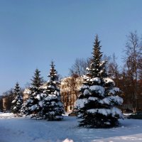 *** :: Валентина Береснева