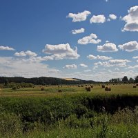 Вятские дали :: MILAV V