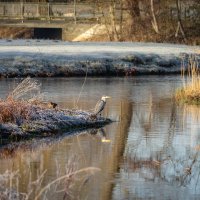 Ждём-пождём... :: Николай Гирш
