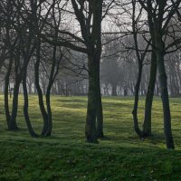 Утренняя пробежка... :: Dmitriy Dikikh Утренняя пробежка... :: Dmitriy Dikikh