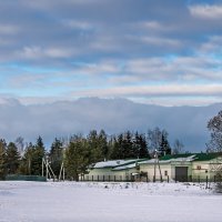 Ничто так не бодрит, как прогулка с фотоаппаратом на лыжах :: Игорь Сикорский