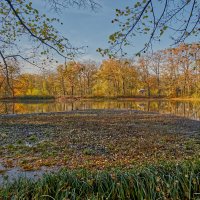 Пруд :: Jakob Dick