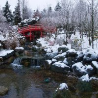 Зимние прогулки :: Андрей Евтеев Зимние прогулки :: Андрей Евтеев