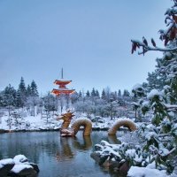 Дракоша :: Андрей Евтеев