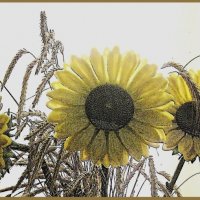 Ретро    подсолнухи... :: Галина Кузьмина