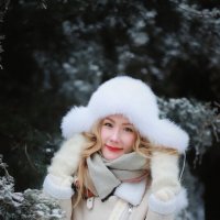 Зимнее настроение :: Юрий Лутов