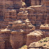 КАНЬОН ЧАРЫНСКИЙ :: HART BAD