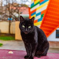 Ну красивый же я :: Дмитрий Лупандин