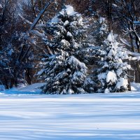 *** :: Владимир Безбородов