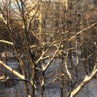 Солнечный денёк! :: Татьяна Юрасова