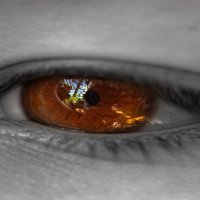 Глаз :: Андрей C