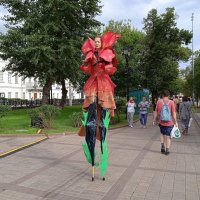 Ну очень длинноногая девушка. :: unix (Илья Утропов)