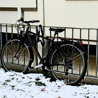 Южная зима - 22 :: Алексей Кузнецов