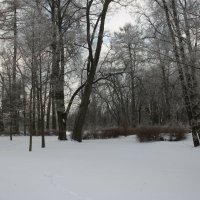 Парк Александрия :: Наталья Герасимова