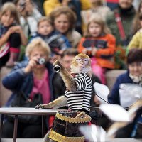 выступление :: Олег Лукьянов