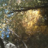 Последний луч... :: Валерий Кокорев