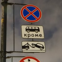 Переполох в курятнике :: Игорь Корф