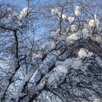 *** :: Виктор Иванович Чернюк