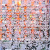 Тимофеев день :: Валерий Иванович