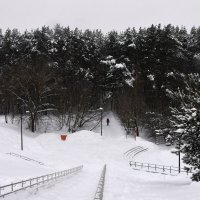 Зима в Московских парках. :: Наташа *****